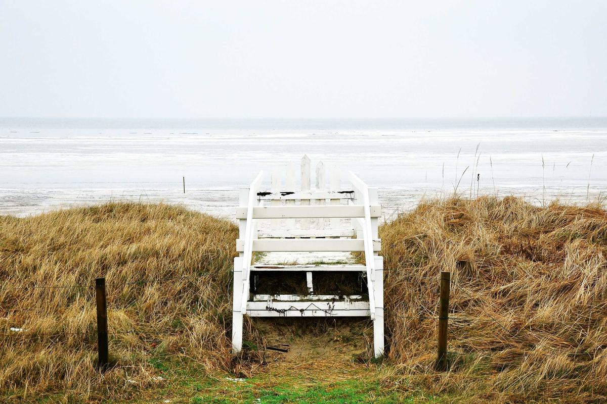 AI Harus Jadi Penunjang bukan Utama