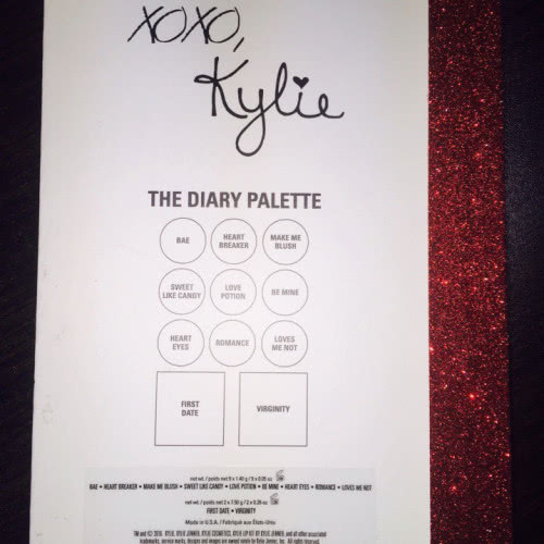 Палетка Kylie Cosmetics Kylie's Diary + бесплатная доставка