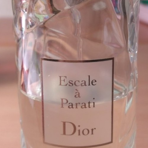 Escale a Parati Christian Dior