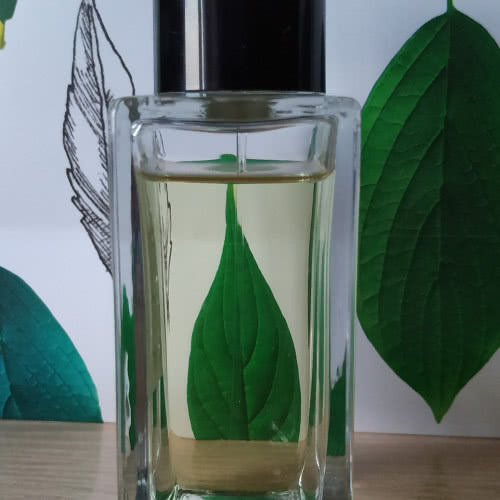 Bois Impérial Essential Parfums 100 ml