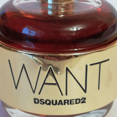 Want by Dsquared2 EDP 100ml