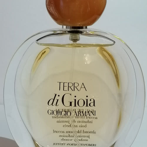 Terra Di Gioia by Giorgio Armani EDP 100 ml