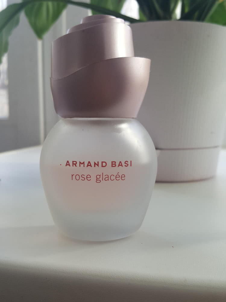 Rose Glacee- Armand Basi 