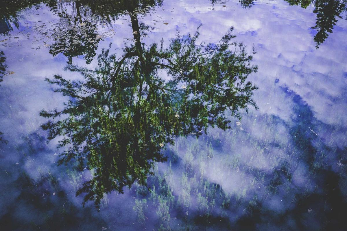 Kasus Foto Rekayasa AI di Kalisari Ternyata Berulang, Pramono: Pelakunya Orang yang Sama